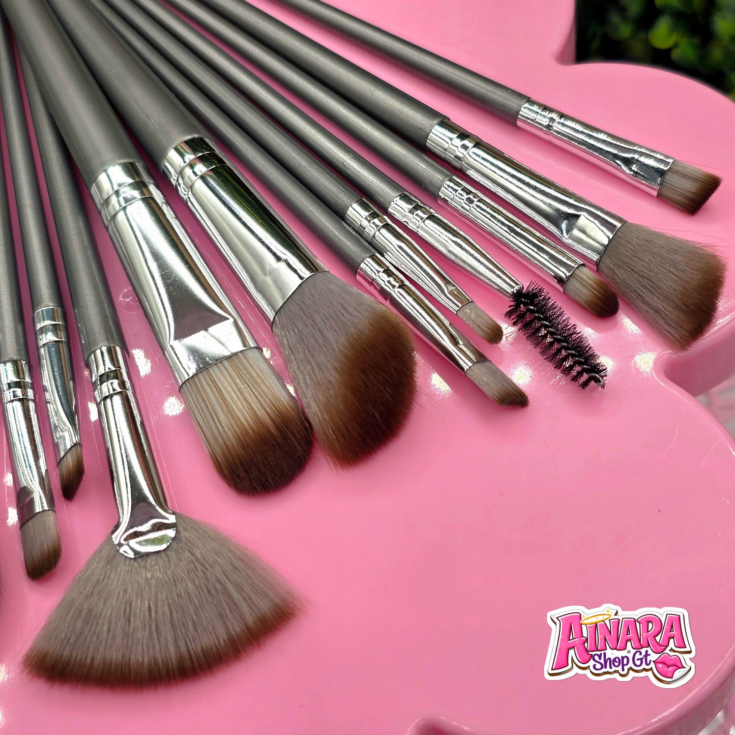Set de Brochas