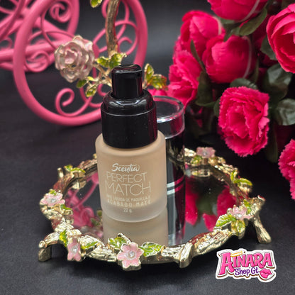 Perfect Match - Base Liquida Matte