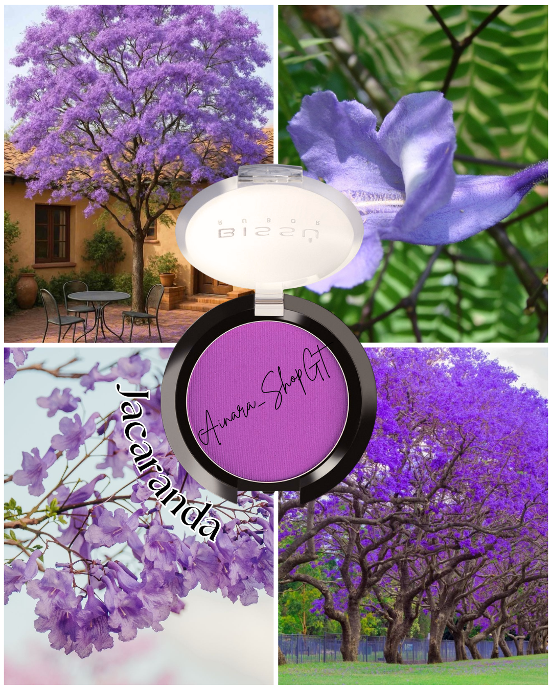 BISSÚ - Rubor Compacto