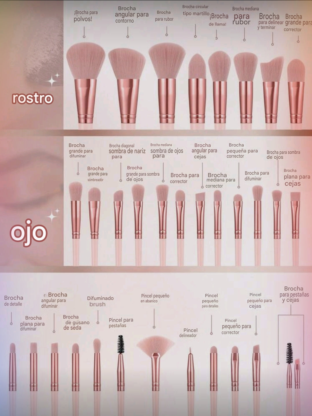 Set Profesional de 30 Brochas