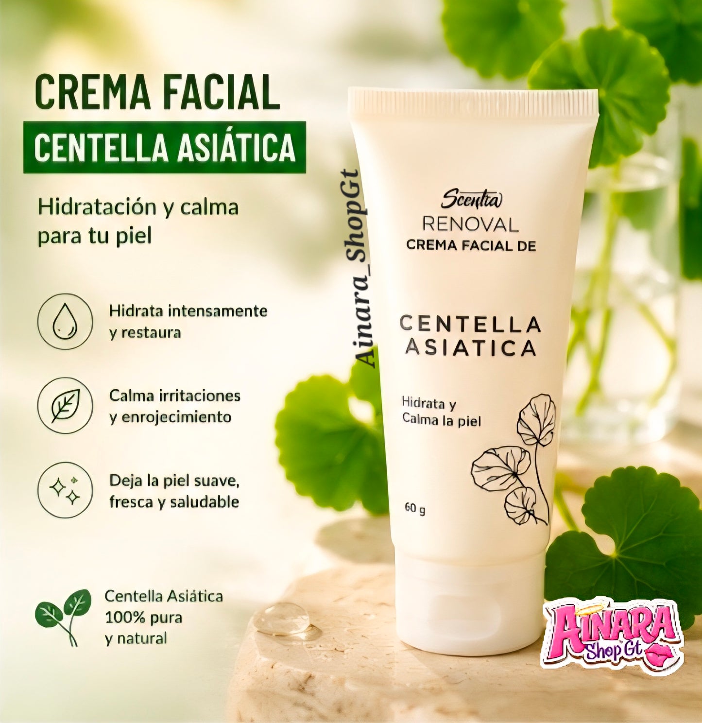 Kit completo de Skincare de Centella Asiática